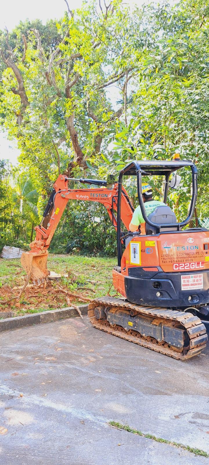 Professional Excavation Services